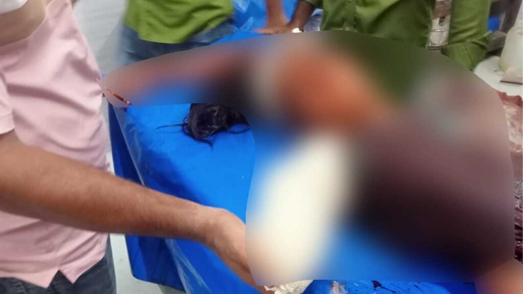 মেহেরপুরে বাড়িতে ঢুকে প্রাক্তন স্ত্রীর হাত কুপিয়ে বিচ্ছিন্ন, অভিযুক্ত গ্রেফতার
