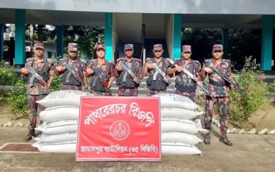 জামালপুর সীমান্তে ভারতে পাচারকালে ১৩ বস্তা সার জব্দ করে বিজিবি