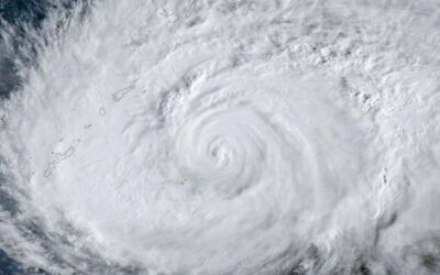 টাইফুন ডলফিন : ৫০০ ফ্লাইট বাতিল, আড়াই লক্ষাধিক মানুষকে সরাল জাপান