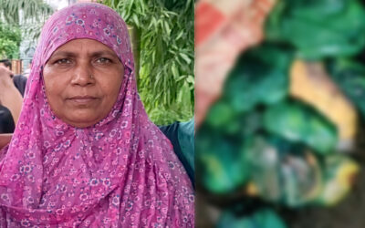 বাড়ির মালিককে টুকরোর পর ৯ প্যাকেটে রাখলেন ভাড়াটিয়া