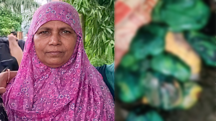 বাড়ির মালিককে টুকরোর পর ৯ প্যাকেটে রাখলেন ভাড়াটিয়া