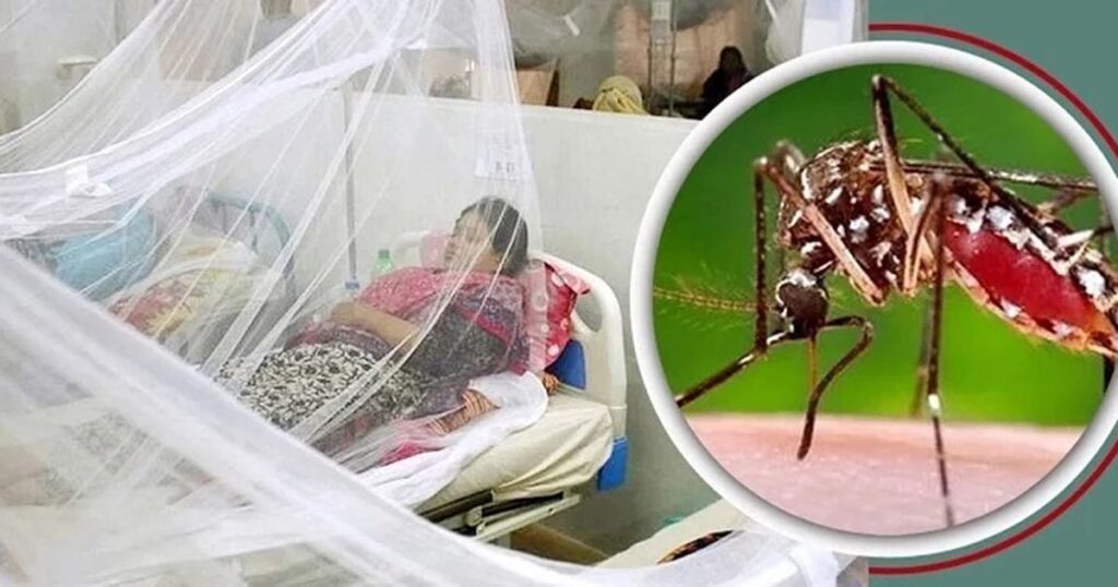 চট্টগ্রামে জুলাই মাসে ডেঙ্গু পরিস্থিতির ভয়াবহ রূপ