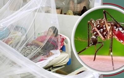চট্টগ্রামে জুলাই মাসে ডেঙ্গু পরিস্থিতির ভয়াবহ রূপ