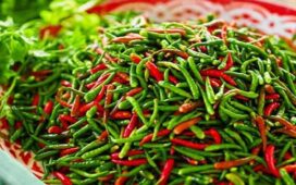 আমদানি স্বাভাবিক থাকায় ৩০০ টাকার কাঁচা মরিচ এখন ১০০ টাকা