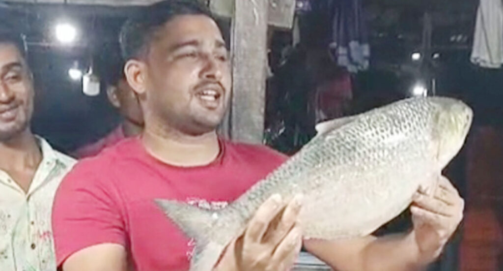 একটি আড়াই কেজি ওজনের রুপালি ইলিশের দাম ১০ হাজার ৪৫০ টাকা