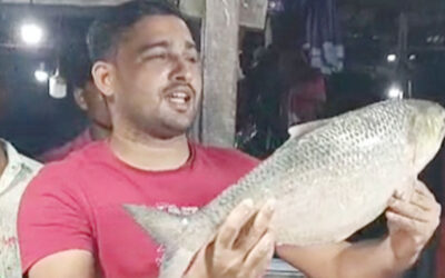 একটি আড়াই কেজি ওজনের রুপালি ইলিশের দাম ১০ হাজার ৪৫০ টাকা
