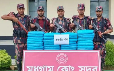 ফেনী সীমান্তে বিশেষ অভিযানে ৩৪ কেজি ভারতীয় গাঁজা জব্দ করেছে বিজিবি