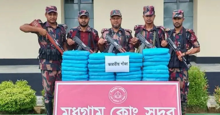 ফেনী সীমান্তে বিশেষ অভিযানে ৩৪ কেজি ভারতীয় গাঁজা জব্দ করেছে বিজিবি