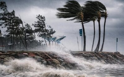 সন্ধ্যার মধ্যে দেশের ৭ জেলায় ঝড়ো হাওয়া ও বজ্রবৃষ্টির শঙ্কা