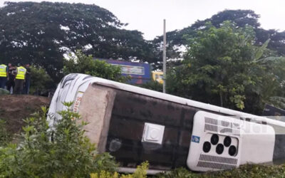 দাউদকান্দিতে নিয়ন্ত্রণ হারিয়ে মেডিকেল শিক্ষার্থীদের বাস খাদে, আহত ২০