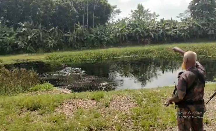 ঝিনাইদহ সীমান্তে অবৈধ ভারতীয় পুশইনের চেষ্টা রুখে দিল বিজিবি