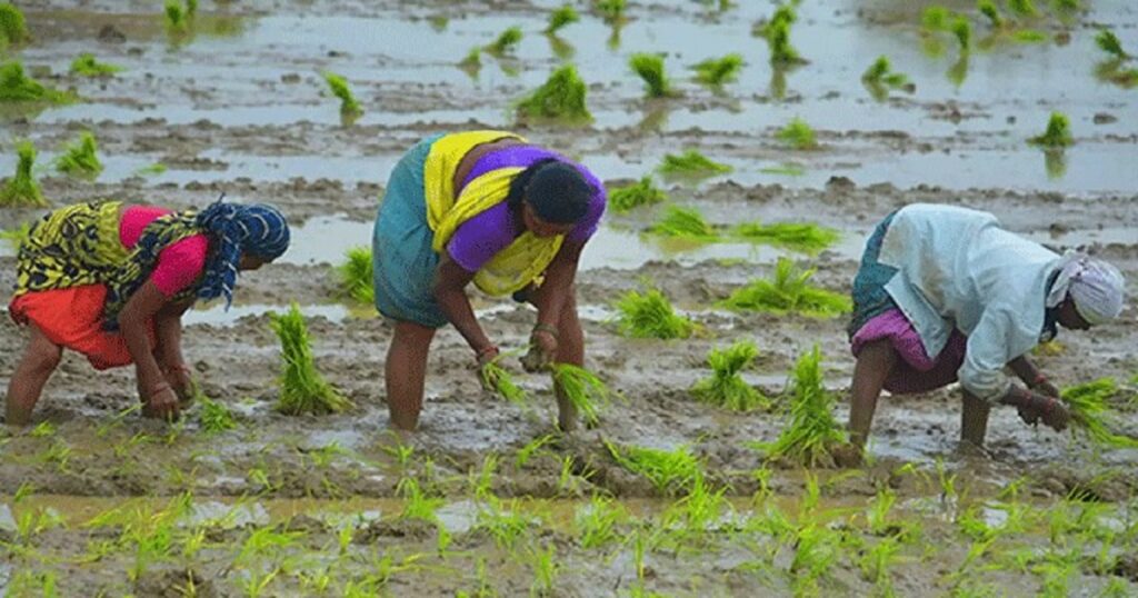 দেশের কৃষি খাতে ১৪ হাজার কোটি টাকার প্রকল্পের প্রস্তুতি