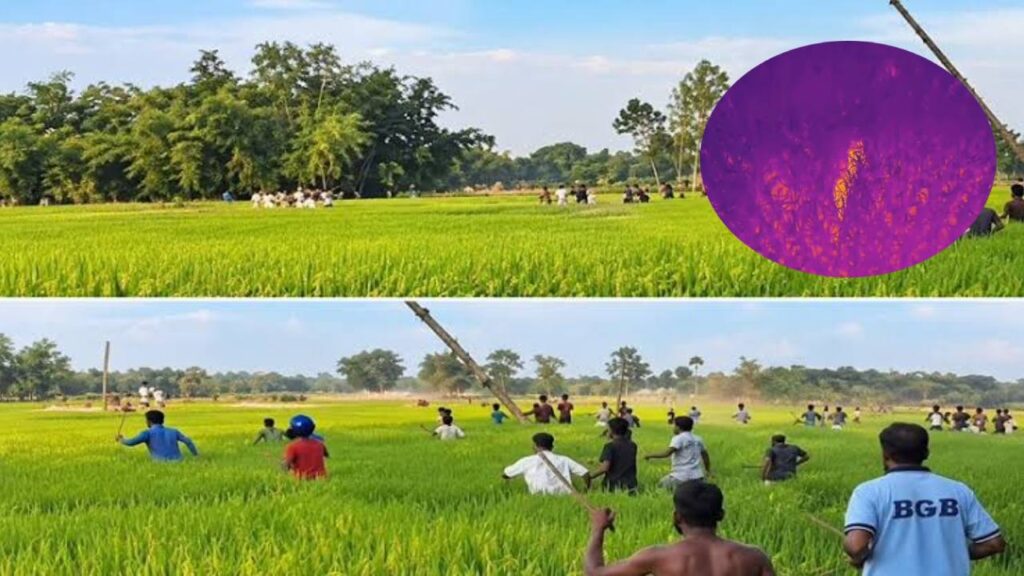 লালমনিরহাটে বাঘের আক্রমণে তিনজন আহত, উদ্ধার কার্যক্রমে বিজিবি ও বন বিভাগ