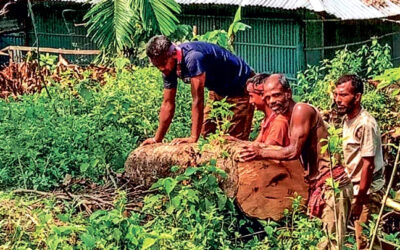 চট্টগ্রামে রেলওয়ের জমির বন উজাড়, তবুও নীরব রেল বিভাগ