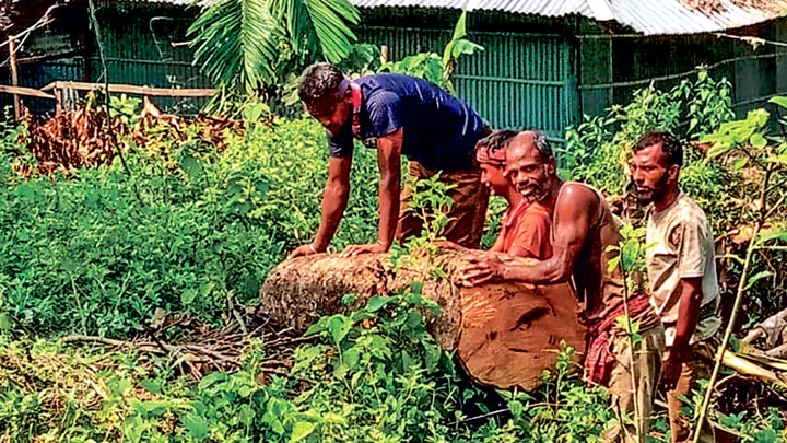 চট্টগ্রামে রেলওয়ের জমির বন উজাড়, তবুও নীরব রেল বিভাগ