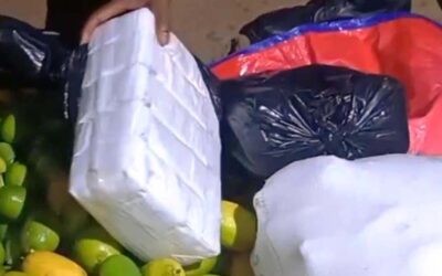 লেবুভর্তি বস্তা তল্লাশি করে ৩ কোটি টাকার ইয়াবা উদ্ধার