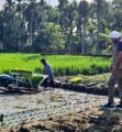 কৃষি উৎপাদনশীলতা বৃদ্ধিতে বাংলাদেশের সঙ্গে কাজ করবে কানাডা