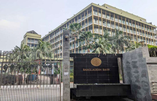 সরকারমুখী ব্যাংকিং, দ্বিমুখী চাপ