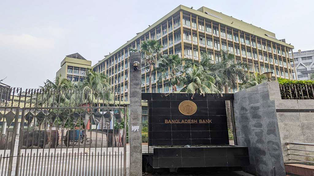 সরকারমুখী ব্যাংকিং, দ্বিমুখী চাপ